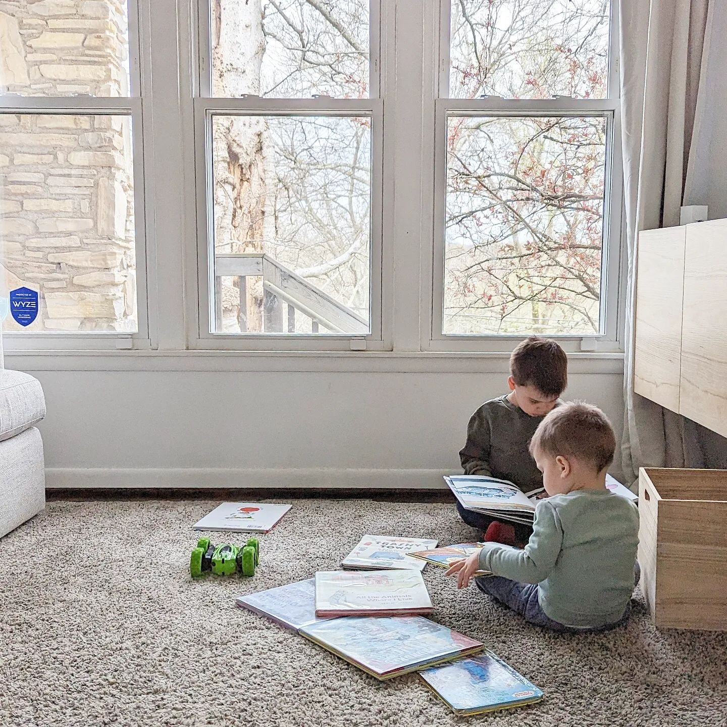 They are normally book worms, but a fresh stack of library books keeps them occupied for hours a day 😍 The sweetest sight.