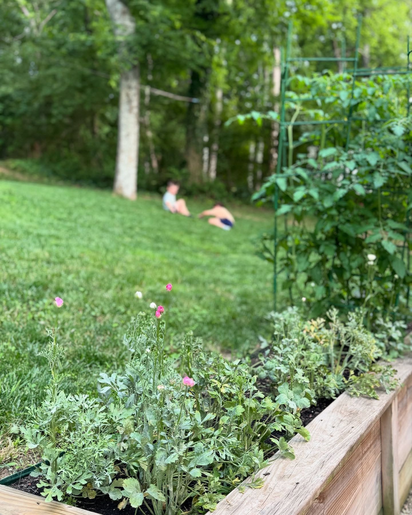 this week 🌿🌼