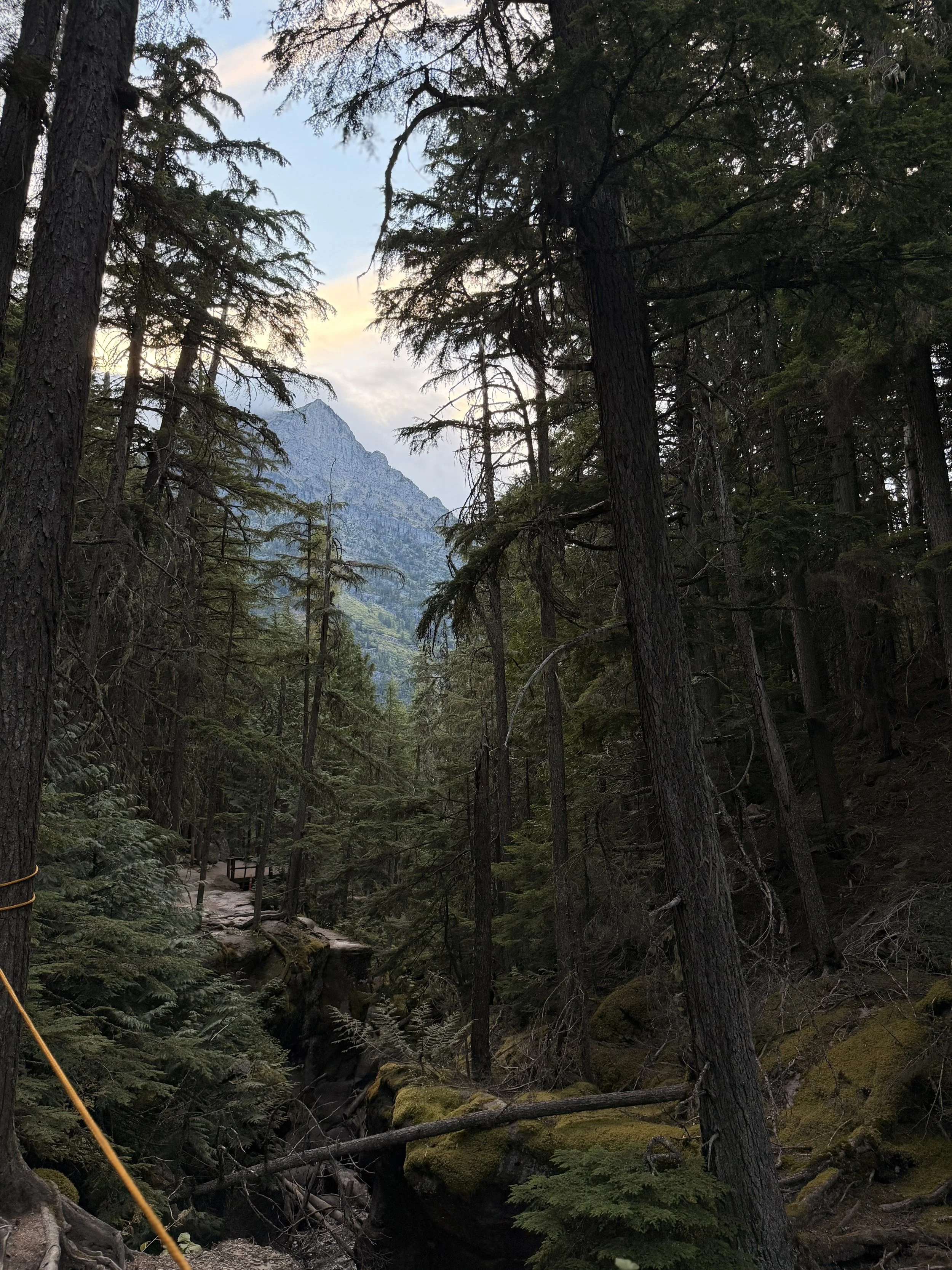 North Dakota and Montana
