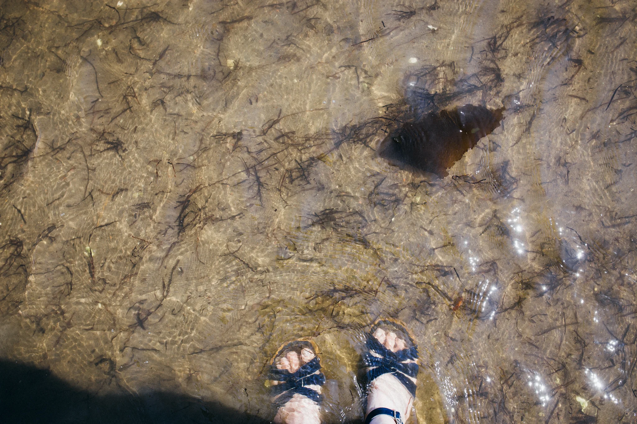 summer201633.jpg