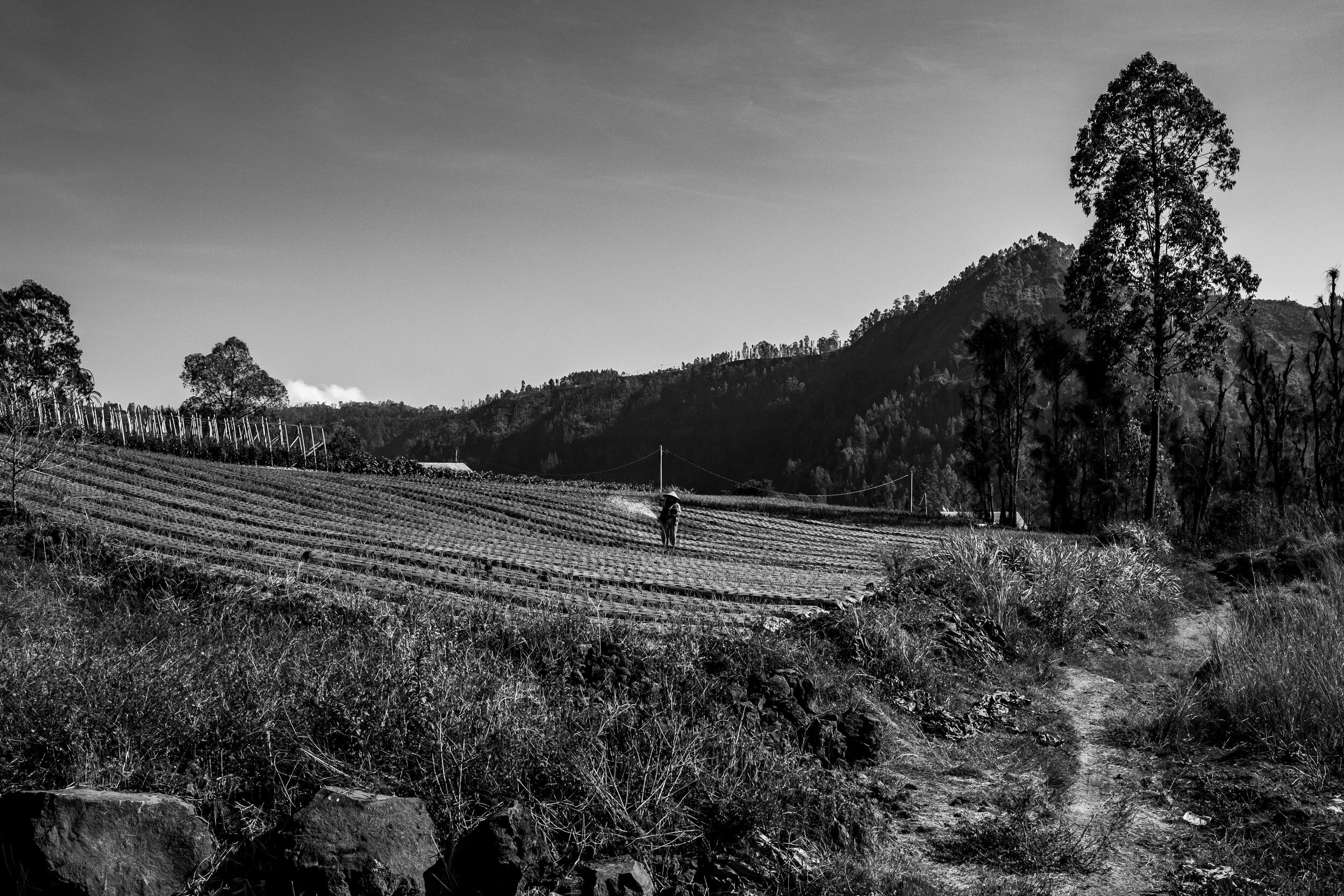 Bali, INDONESIA_OCT 1-20, 2O18_0998_F.JPG