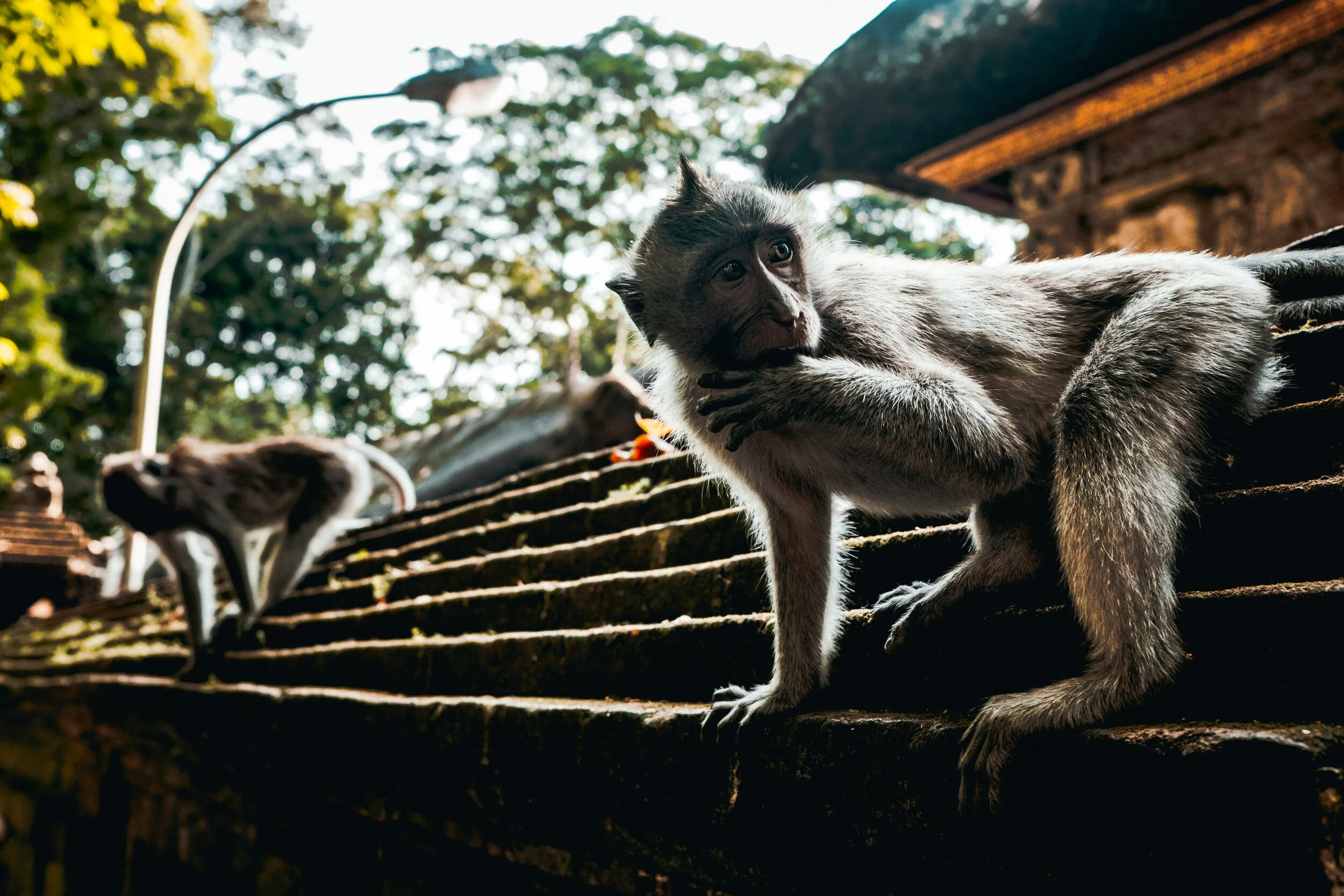 Bali, INDONESIA_OCT 1-20, 2O18