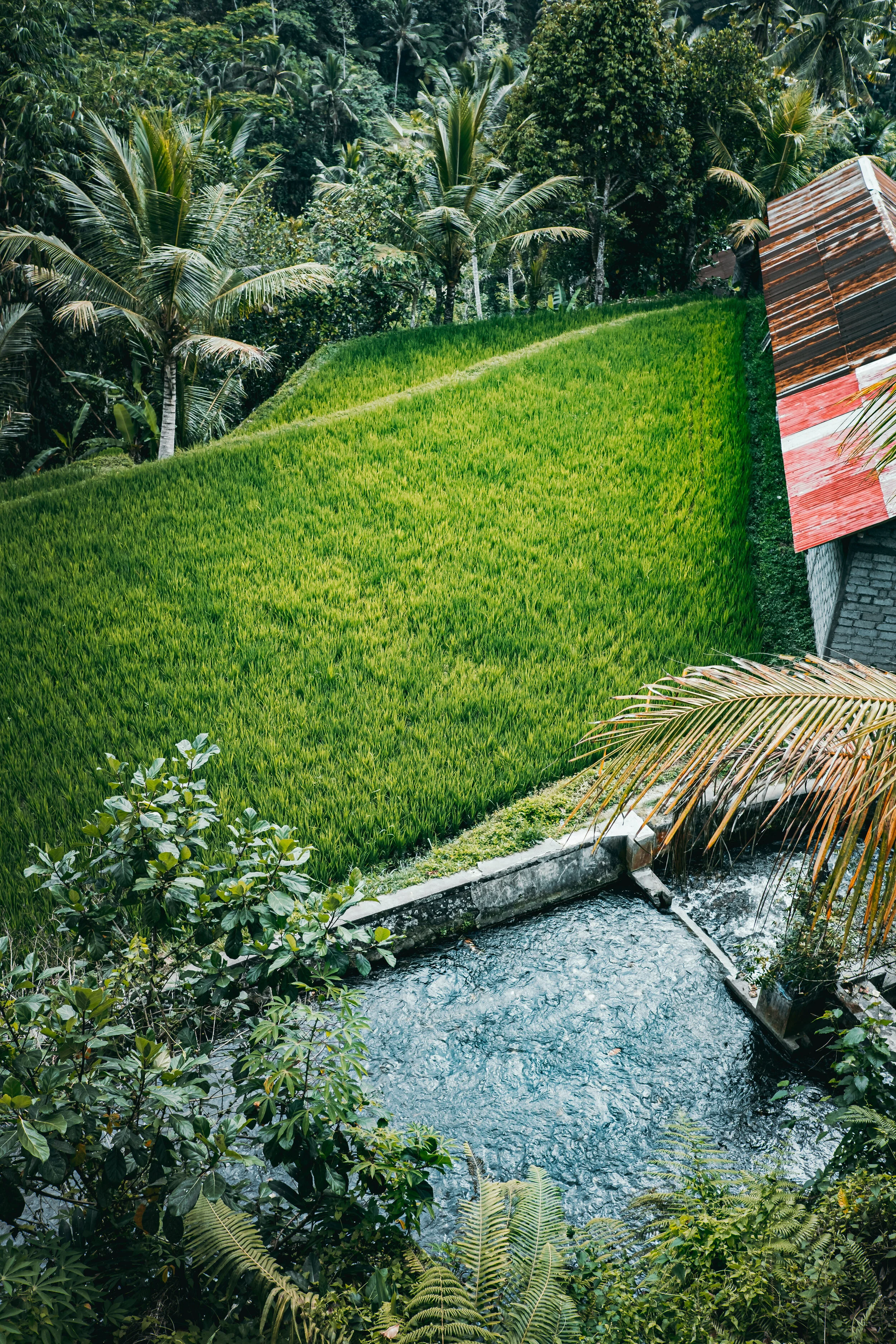 Bali, INDONESIA_OCT 1-20, 2O18