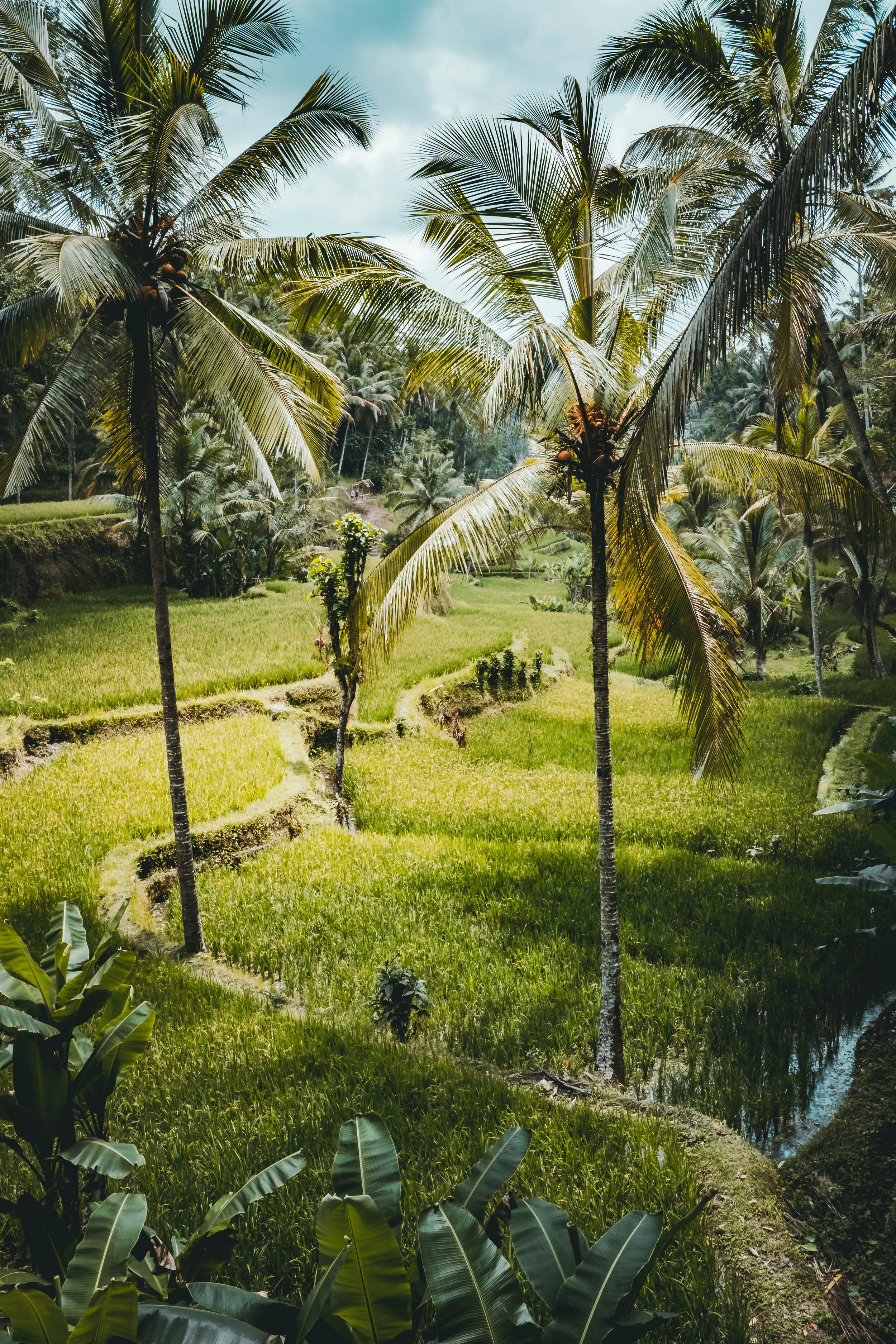 Bali, INDONESIA_OCT 1-20, 2O18