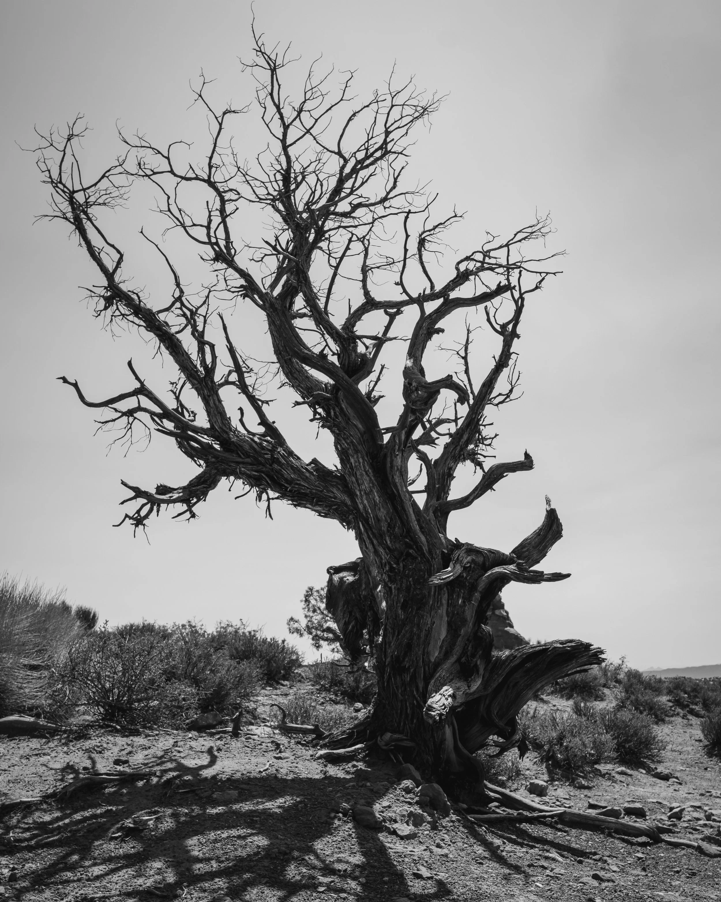 082821_Arches National Park_073_F 8x10.jpg