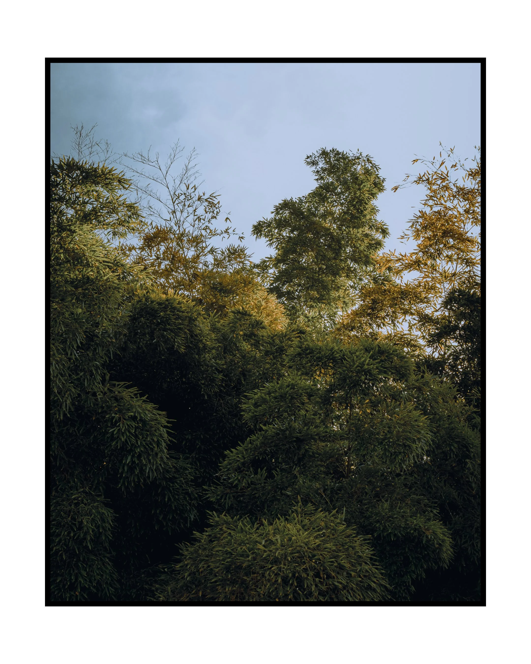 SCRL_0016.JPG