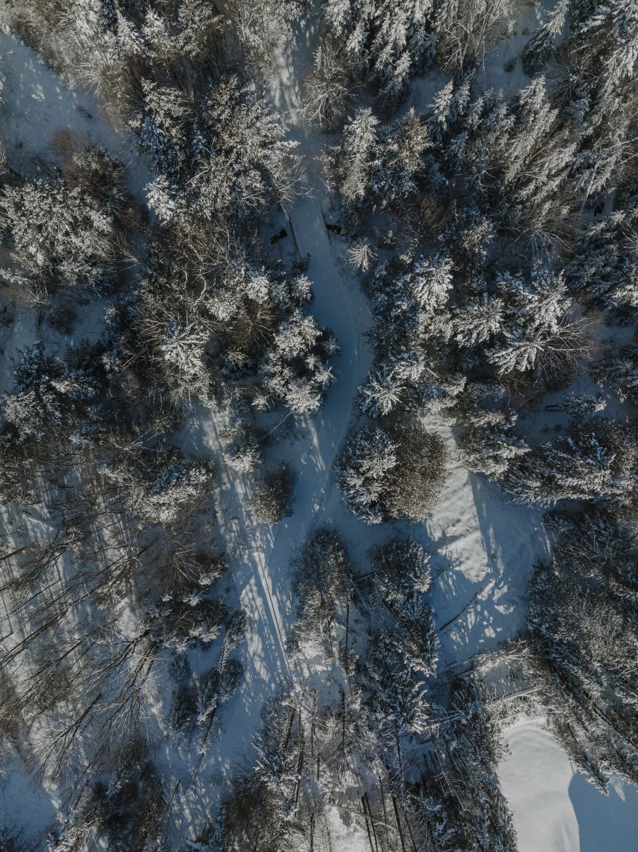 012723_Highland Lodge - WINTER DRONE Captures_61.jpg
