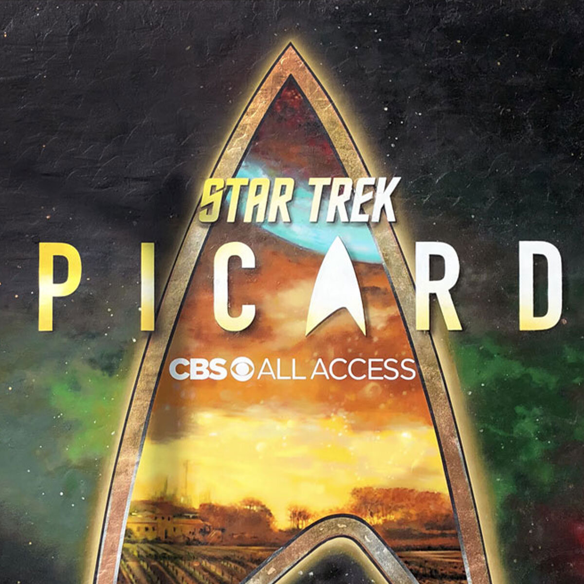 Star Trek: Picard Mural (Copy) (Copy)