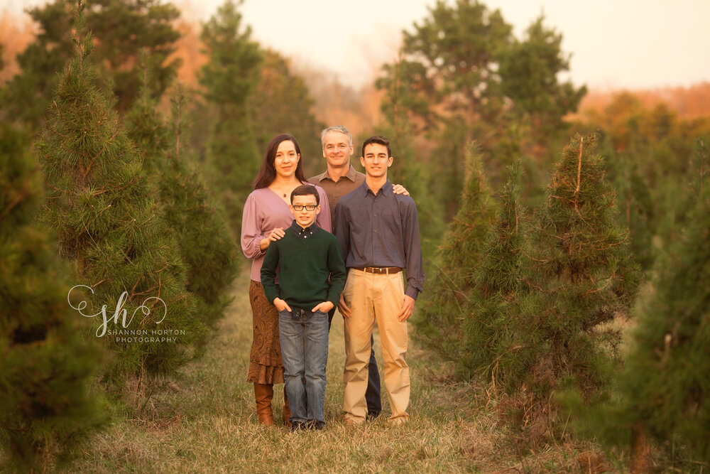 Grover Family Tree Farm Minis Houston Tx Photographer Portrait Tree Farm Minis Houston Tx, Houston Tree Farm