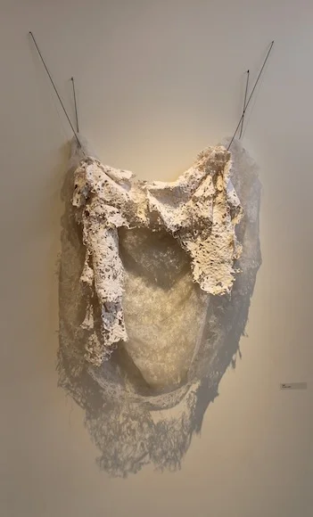 Veil (For Amy)