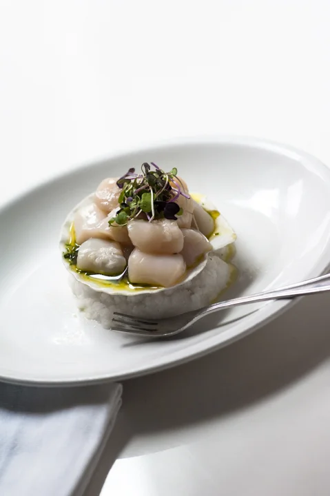 Scallop Crudo