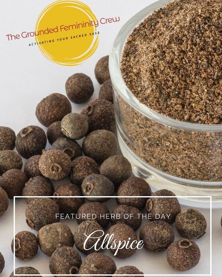 Featured GFC Herb of the Day: &quot;ALLSPICE&quot;

Part of Grounded Femininity is knowing the natural world and recognizing and appreciating your plant allies. Allspice is a wonderful herb, not just for its part in creating yummy dishes, but also be