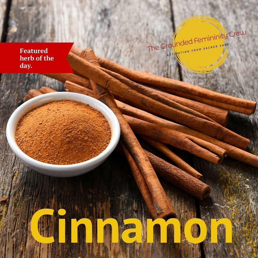 Featured GFC Herb of the day: Cinnamon

I associate cinnamon with that need for a little bit of spice, pizazz, and sass. For me, it's a spice that adds courage - just that little bit that you need to give yourself the umph for action.

As a health al