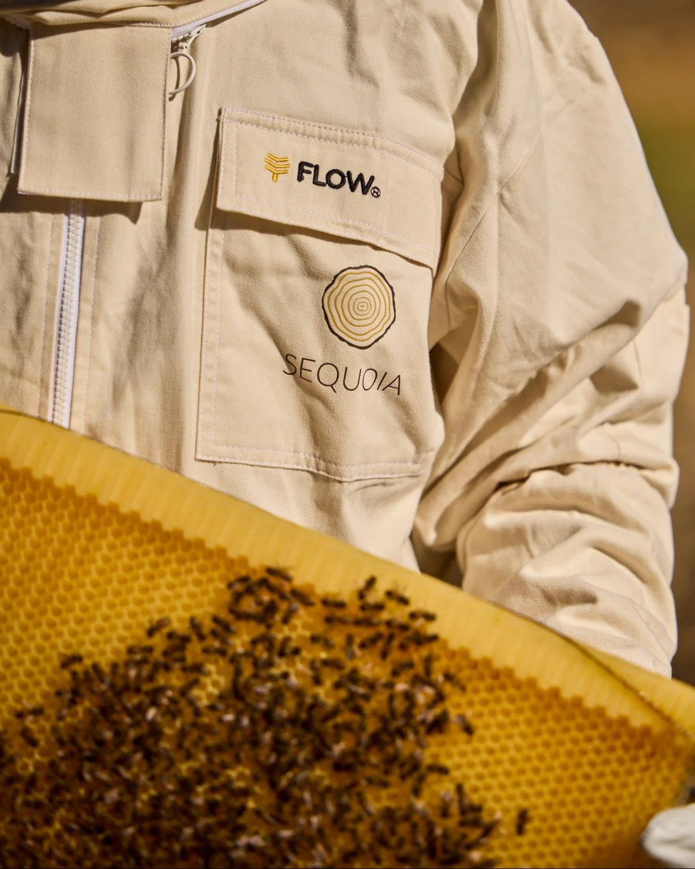 See our bees in action, every Wednesday and Saturday, at Sequoia Lodge 🐝  #luxurylodge #luxury #bestofthebest #experience #sequoia #sequoialodge #bespoke