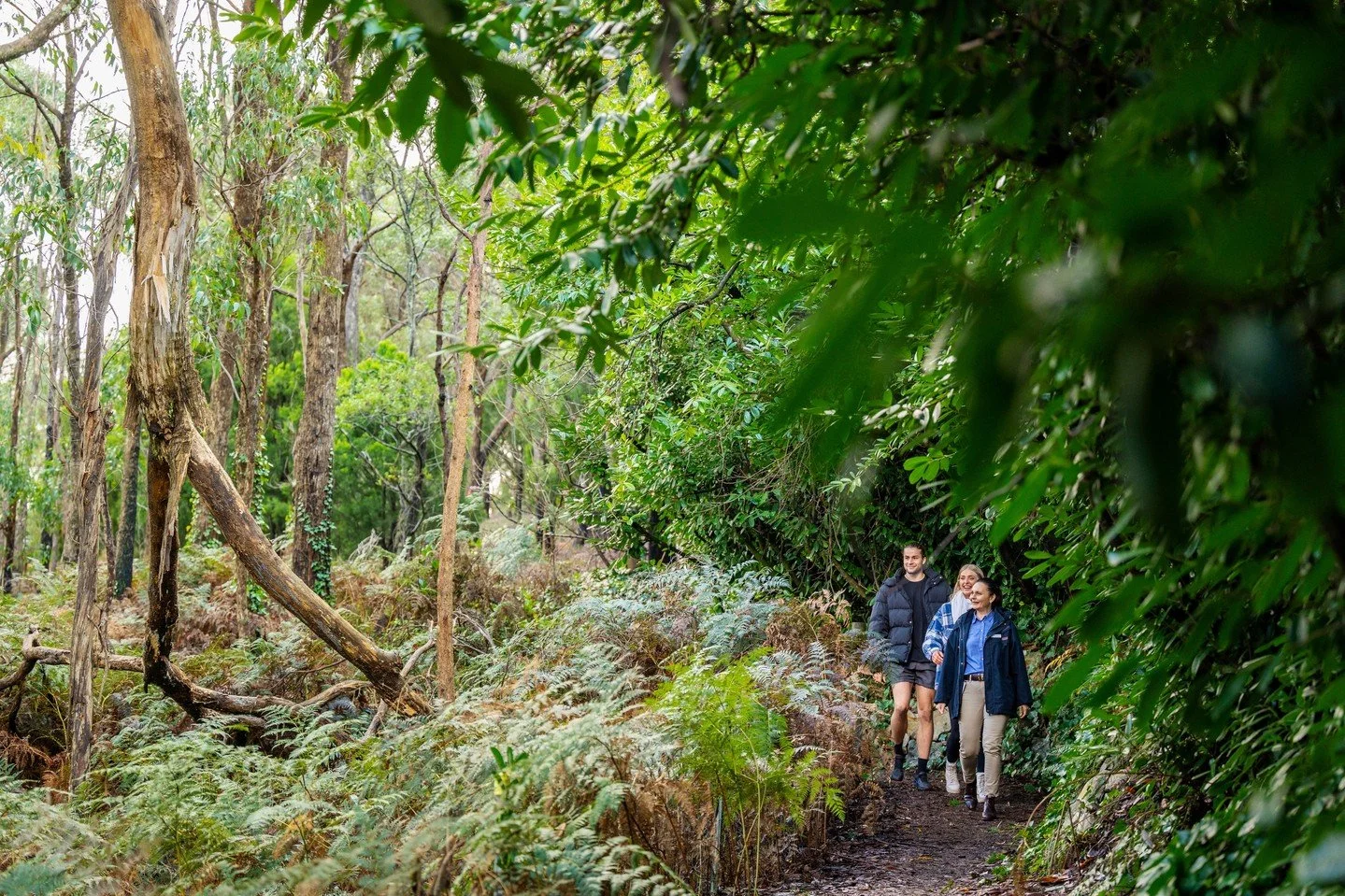 Step into Spring, with our guided nature walk. Just one of our 32+ Signature Inclusions! 🌳 #luxurylodge #luxury #bestofthebest #experience #sequoia #sequoialodge #bespoke #naturewalk #bestnatureshots #instanature