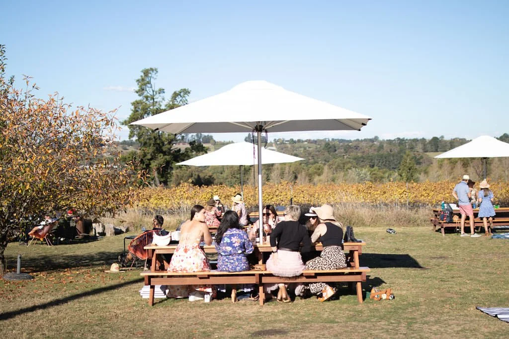 Certified organic and proudly local, @seesawwine is a must-visit while in Orange 🍷
Located just outside Borenore, this family-run winery is all about sustainable practices and easy-to-love wines. Swing by the cellar door for a tasting in their light