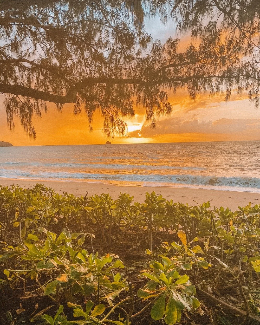 Mornings in Palm Cove have a way of stopping you in your tracks. Golden light, palm-lined paths and the Coral Sea at your feet — the perfect beginning to any day at The Reef House.
#thereefhouse #adultsretreat #visitPalmCove #exploreTNQ #seeAu