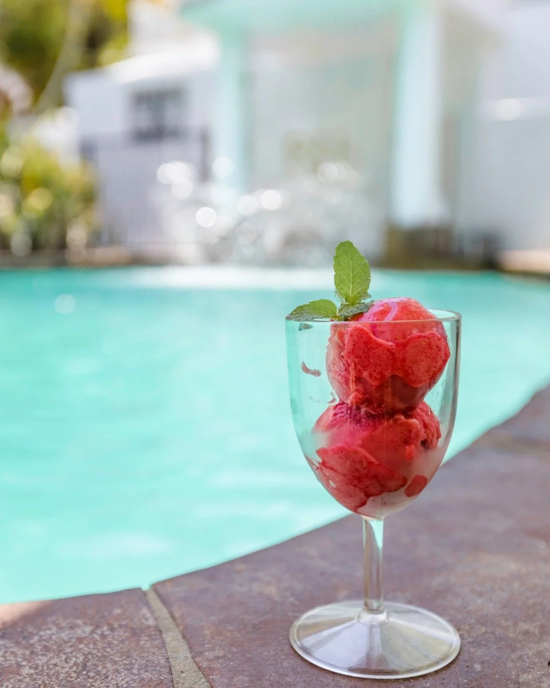 An afternoon treat? A non-negotiable at The Reef House. 
At 3pm each afternoon, house-made sorbet is served poolside as one of our 28+ Signature Inclusions & Experiences. 
#thereefhouse #adultsretreat #sorbet #signatureinclusions #visitpalmcove
