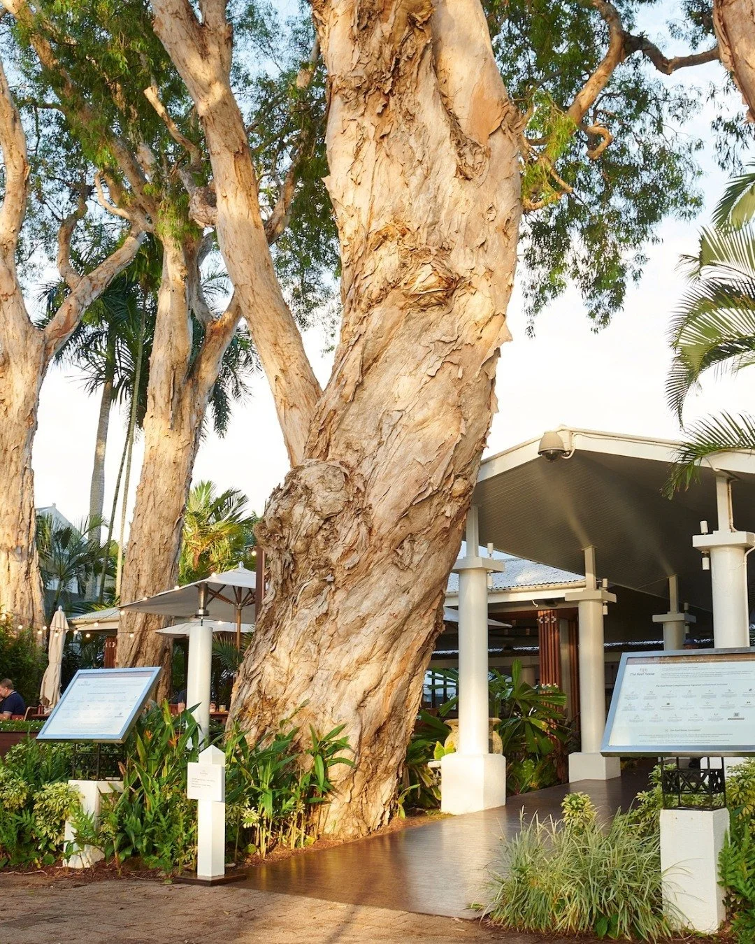 For more than 40 years, The Reef House has welcomed guests to Palm Cove. From its beginnings as a private home to today’s award-winning adults retreat, our story is steeped in timeless hospitality. 
Discover more about the rich history of The