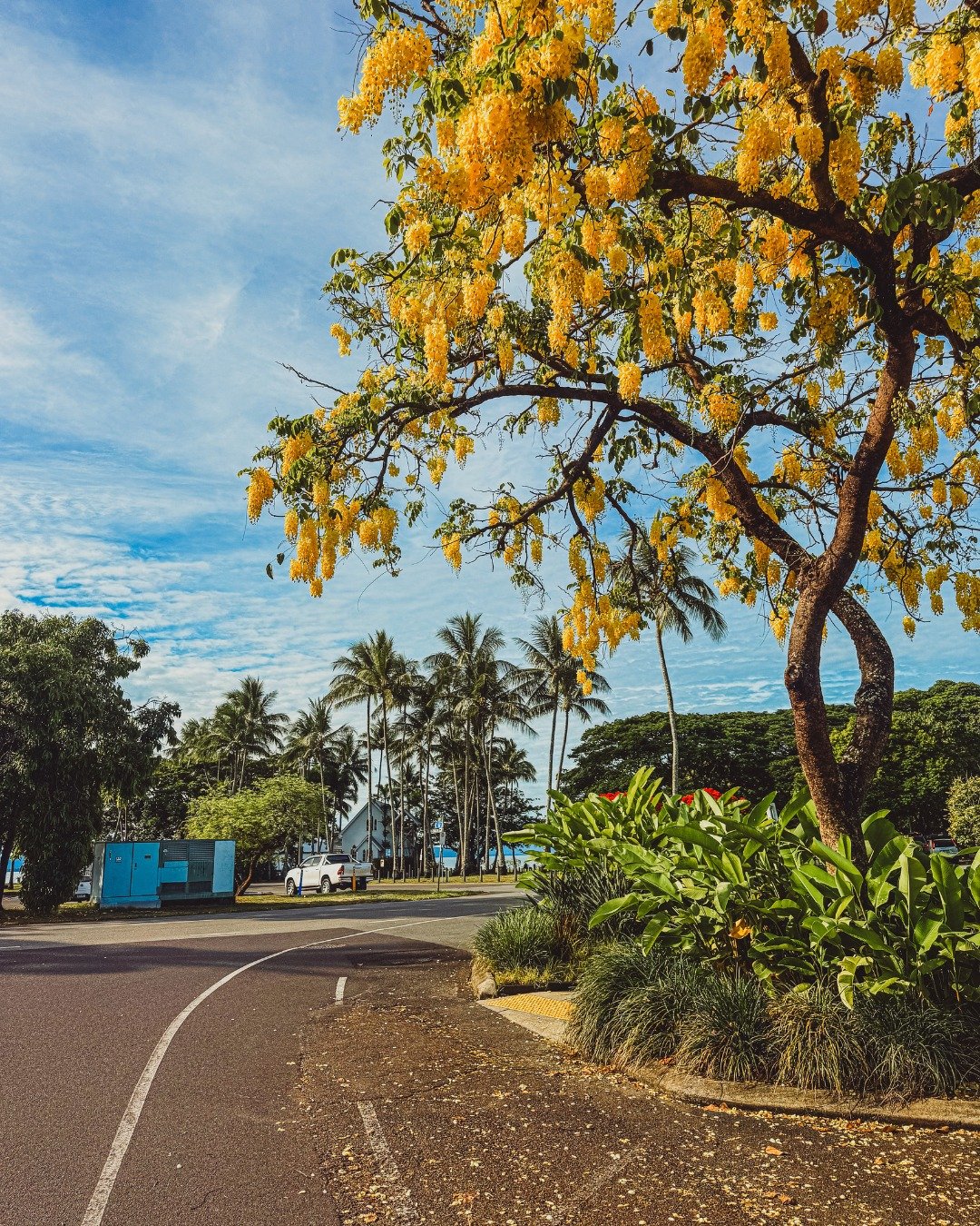 Colourful flowers, warm sunshine and palm lined streets set the scene for relaxed days in Port Douglas. From your villa, it is an easy walk to shops, dining and the beach 🌴☀️

Stay in the heart of it all at Cayman Villas!

Link in bio to book 😀

Ph