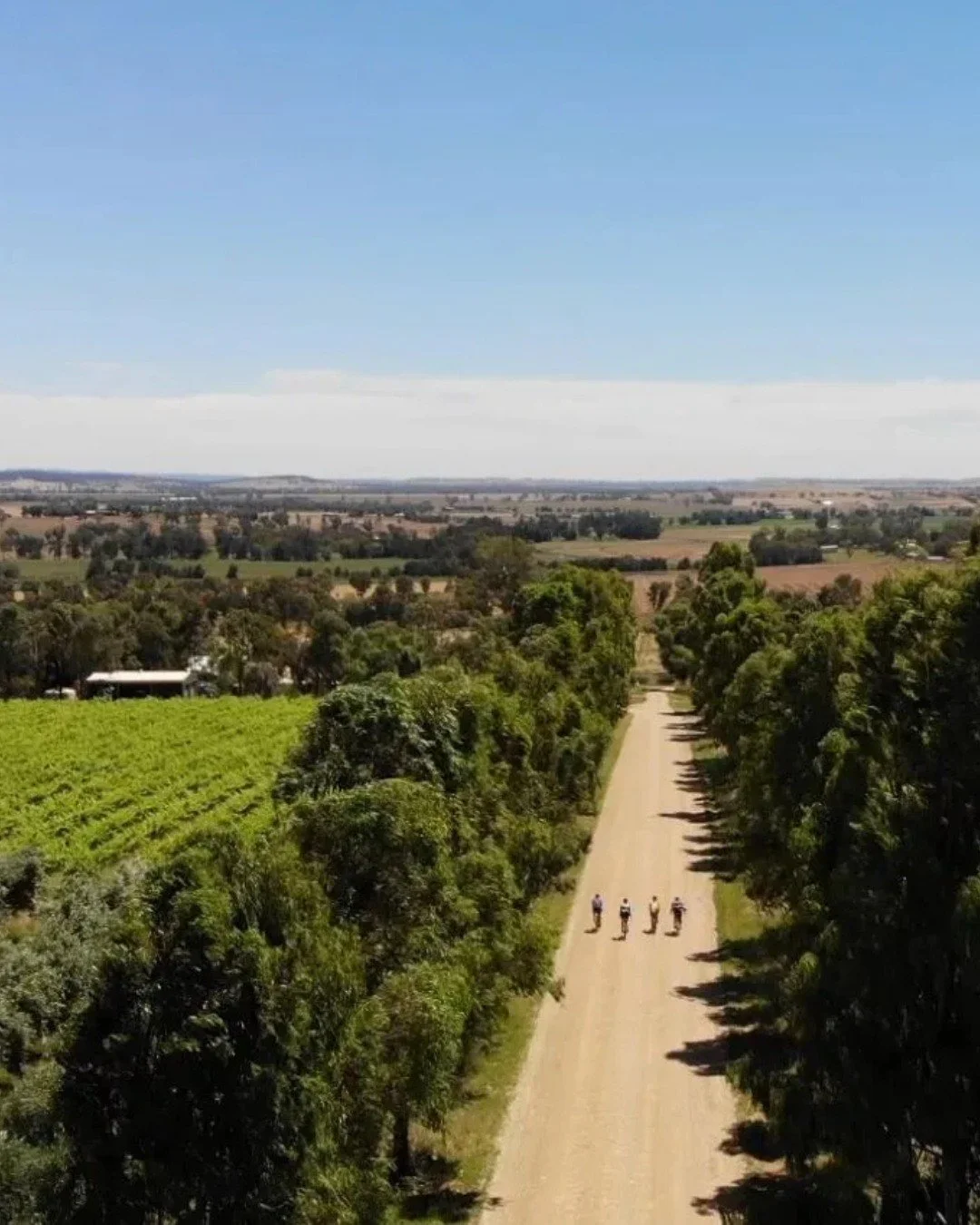 Slow the pace and see Orange from a different perspective on the Orange Villages Bicycle Trail. This scenic ride winds through charming villages, open countryside, and local food and wine stops, offering the perfect balance of nature, culture, and fr