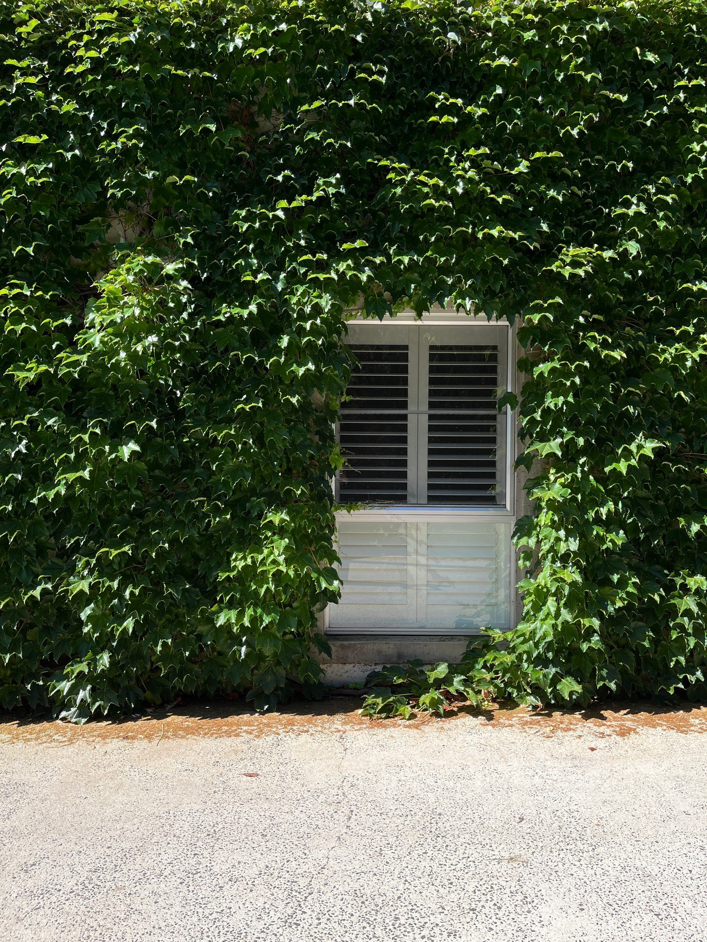 Surrounded by cascading ivy and timeless architecture, de Russie&rsquo;s exterior offers a warm and inviting welcome. It sets the tone for a stay filled with thoughtful details, boutique comfort and the gentle rhythm of life in Orange 🍃

Book your s