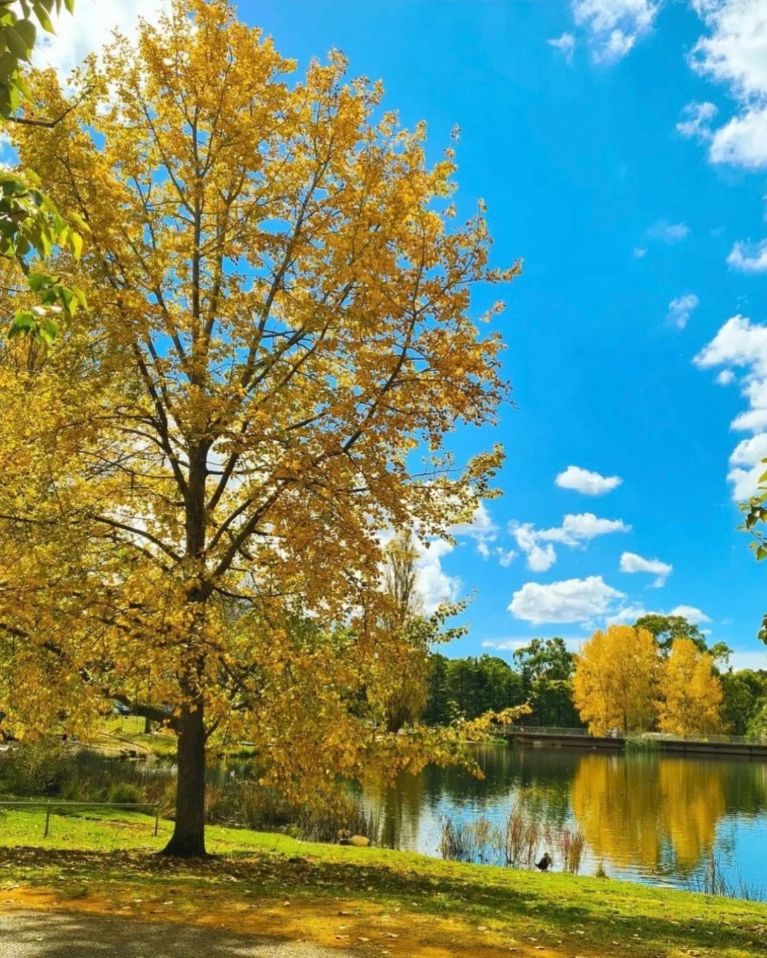 Lake Canobolas offers a peaceful escape at the foot of Mount Canobolas, where water, nature, and open space invite you to slow down. Spend the day walking or cycling the lake&rsquo;s edge, enjoying a summer swim, or relaxing with a picnic while nativ