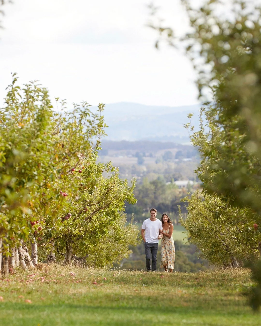 Did you know Orange has over 30 cellar doors within easy reach? From Nashdale Lane to Philip Shaw, Printhie to Cargo Road - the Orange wine trail is world class! 🍷🍇

 Stay at de Russie and explore them all 🍃

Link in bio to book!

Photo credit @de