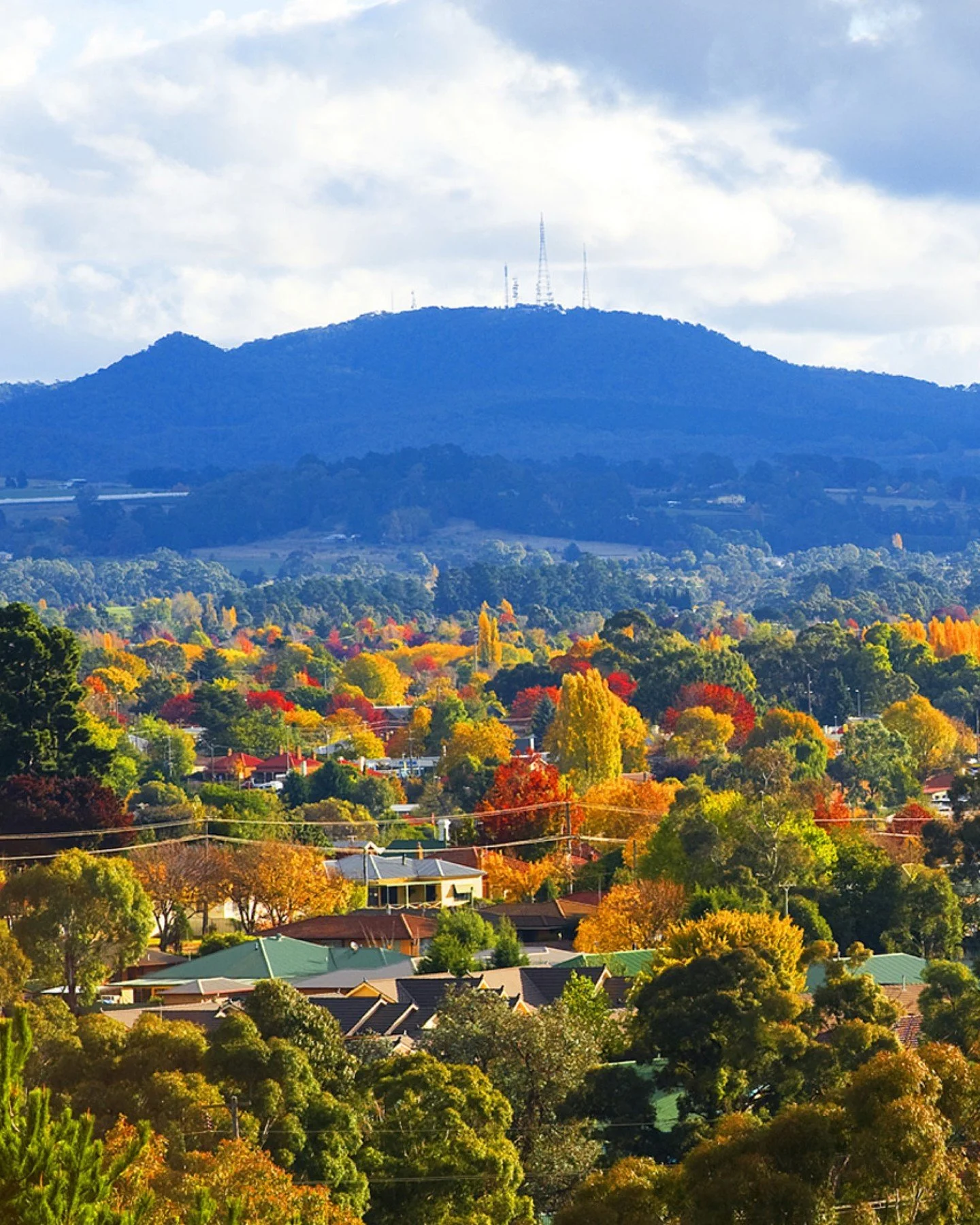 Autumn is one of the most beautiful times to visit Orange and it's easy to see why it's known as one of Australia's prettiest autumn towns 🍁

The streets are lined with golden and crimson foliage, the cool-climate vineyards are deep into harvest, an