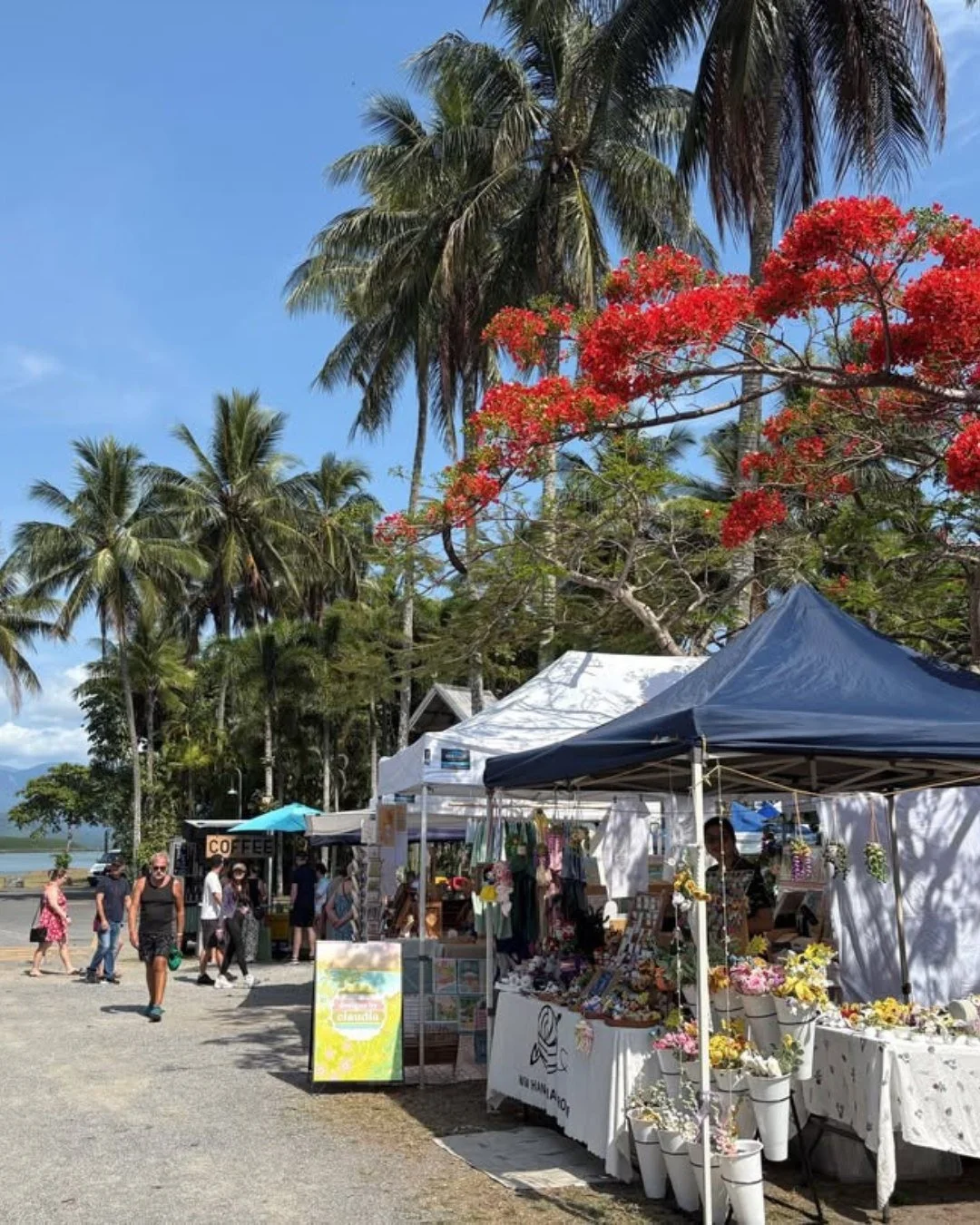 Sunday mornings in Port Douglas are made for the markets 🛍️🌿

Wander through over 100 stalls at Anzac Park from 8am, filled with fresh local produce, handmade pieces, artisan treats and of course, something sweet along the way. It&rsquo;s the kind 