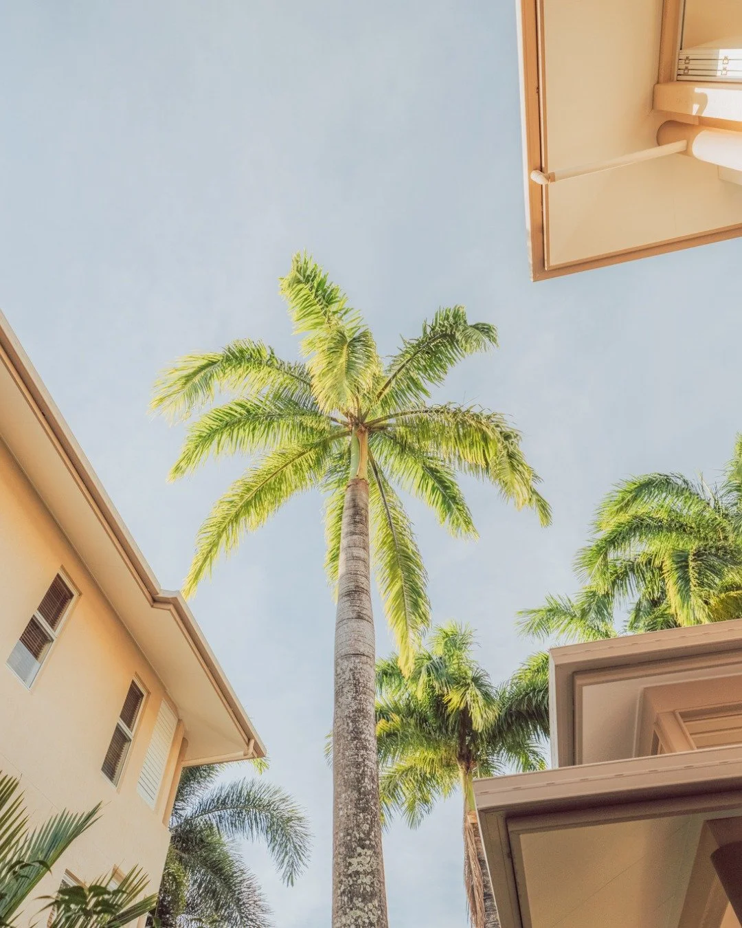 Warm air that sits on your skin. The sound of the pool. Palms that move slowly in the afternoon breeze. The particular quiet of a tropical town that has no interest in rushing you 🌴

This is what Port Douglas feels like when you give it enough time.