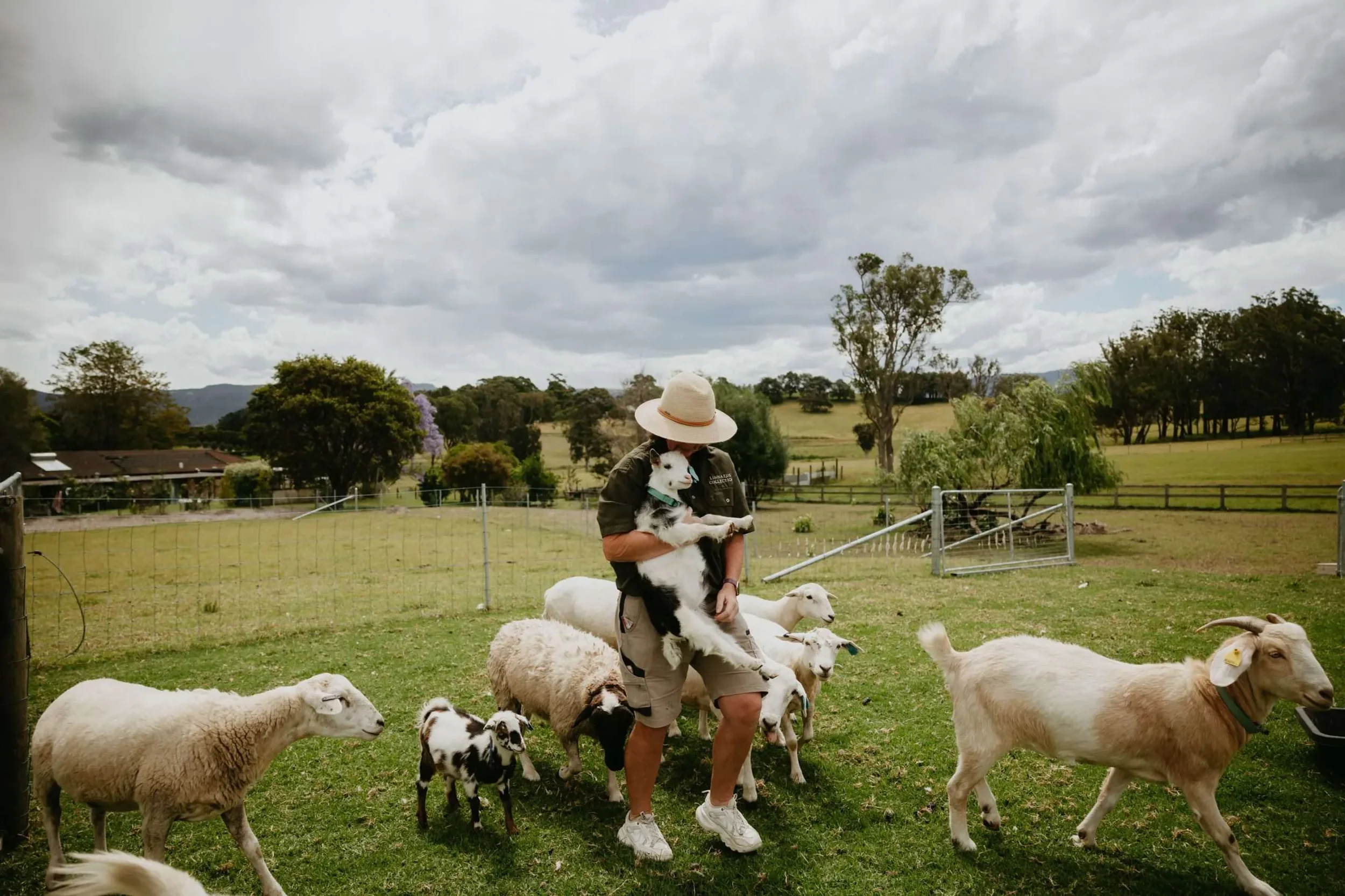 linnaeus-collection-group-stays-corporate-retreat-homes-berry-nsw-fluidform48-scaled.webp