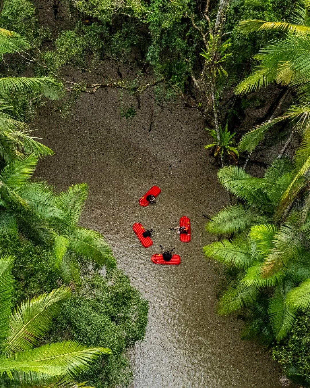 Float through the rainforest on one of the most unique experiences in Tropical North Queensland 🌿💦

River Drift Snorkelling with @backcountryblissadventures takes you deep into the crystal-clear waters of the Mossman River, where you&rsquo;ll gentl
