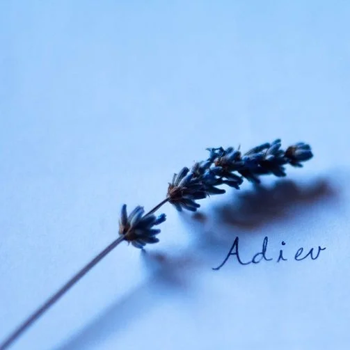 FAREWELL TEA PARTY FOR HON’BLE MR. JUSTICE P. V. HARDAS