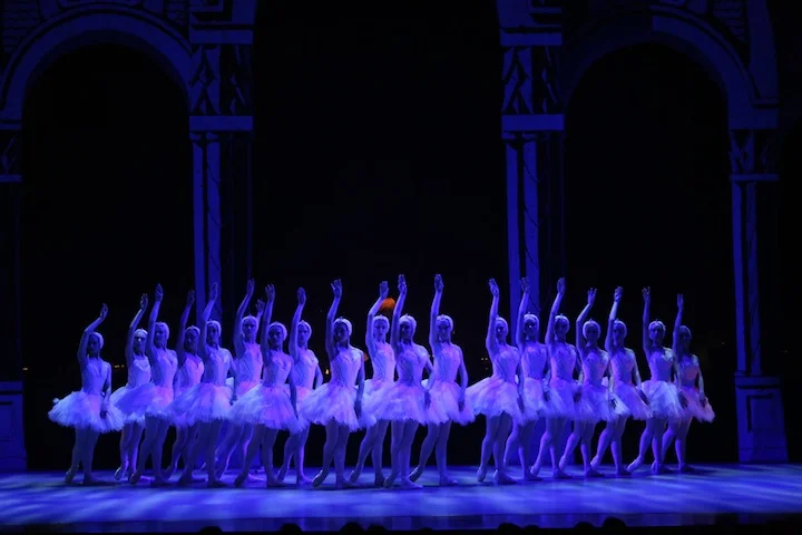 SwanLake13_004.jpg