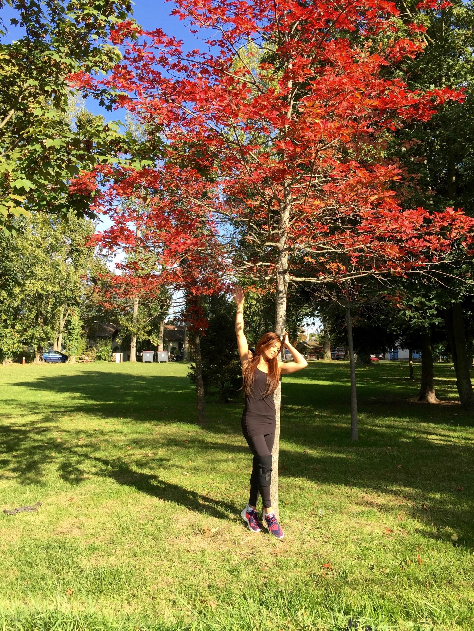 OUR CONNECTION WITH TREES