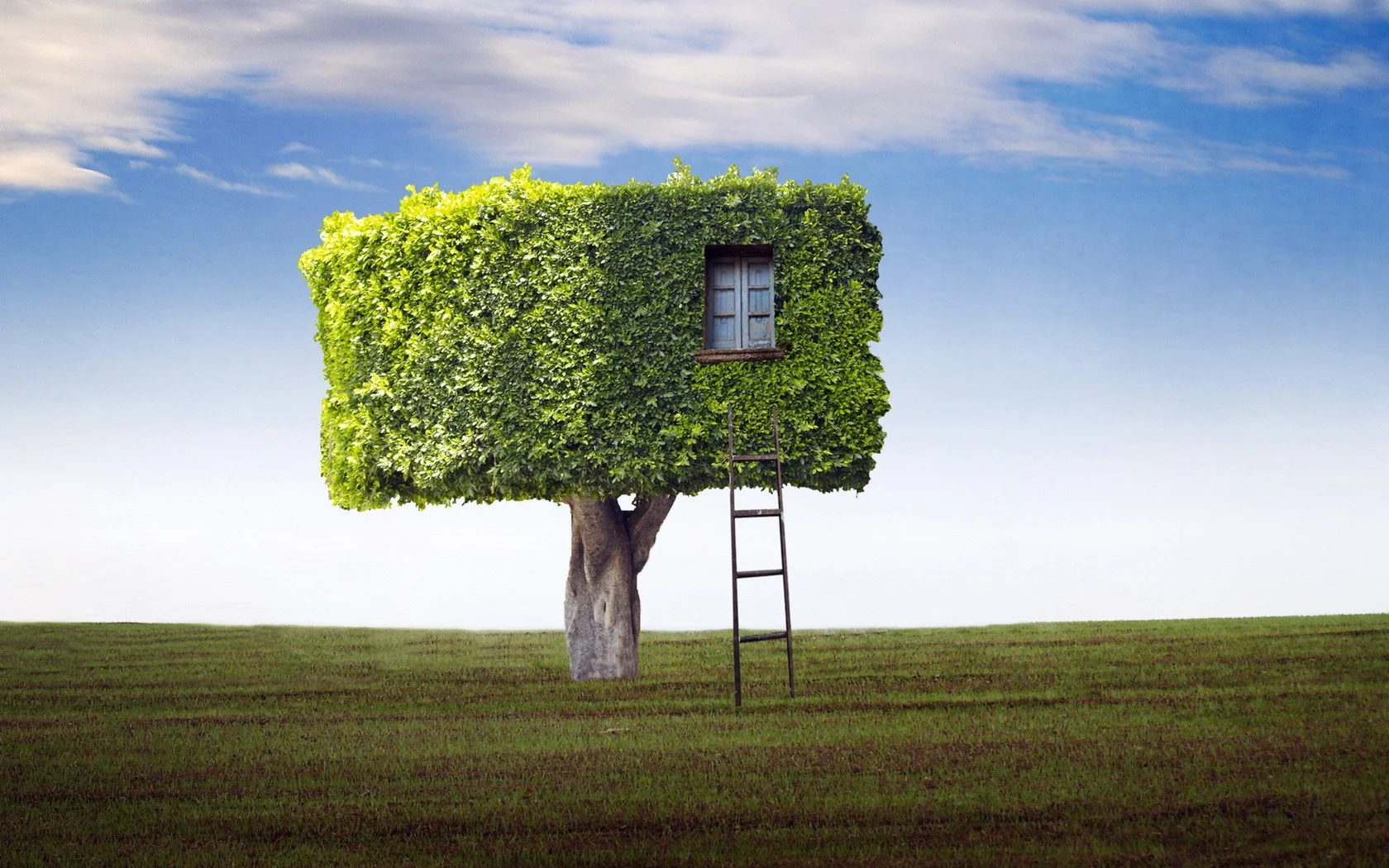 misc-fantasy-nature-house-tree-photo.jpg