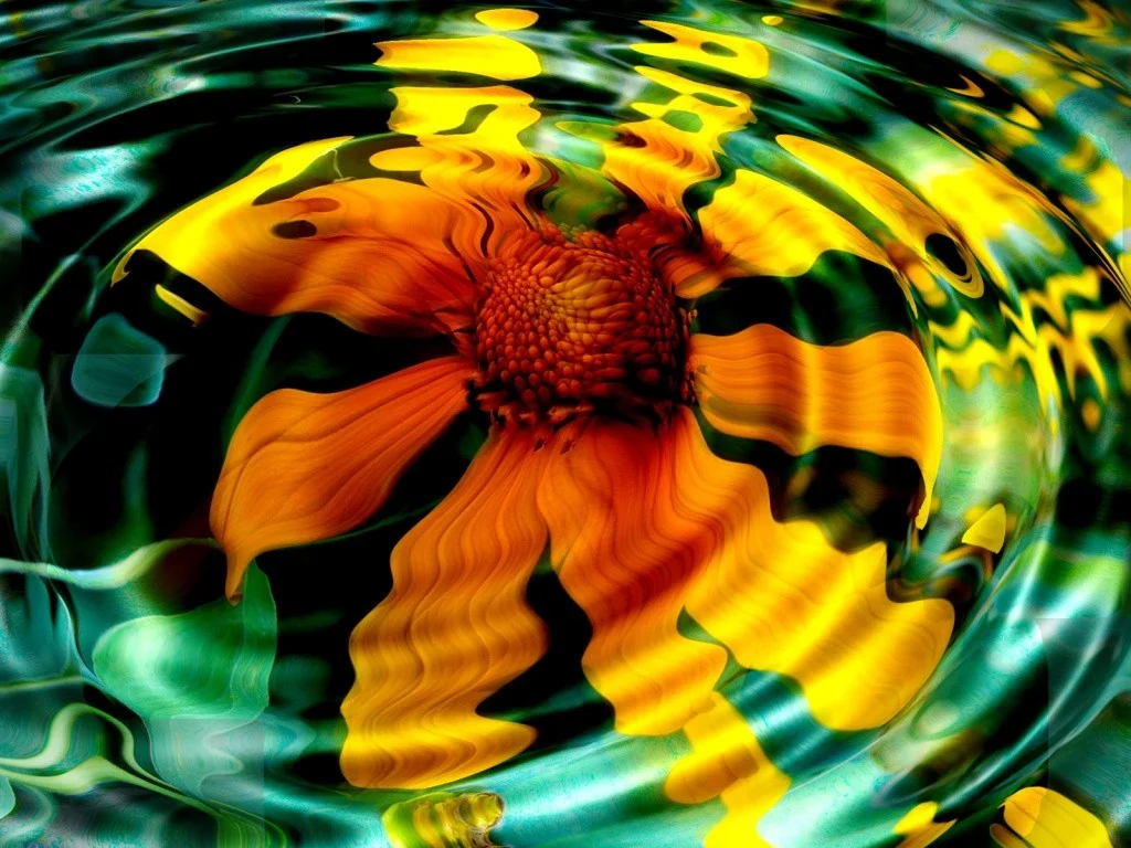 flowers-reflection-yellow-flower-wallpaper-computer.jpg