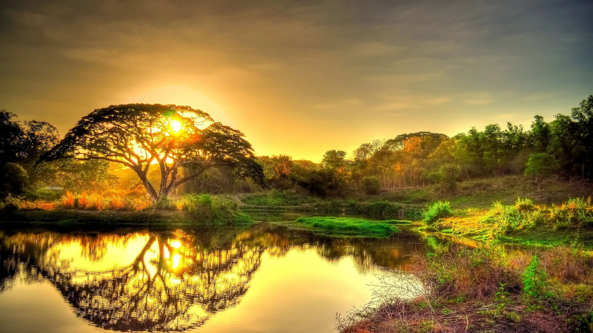 HD-Nature-Wallpapers-1080p-Full-Hd.jpg