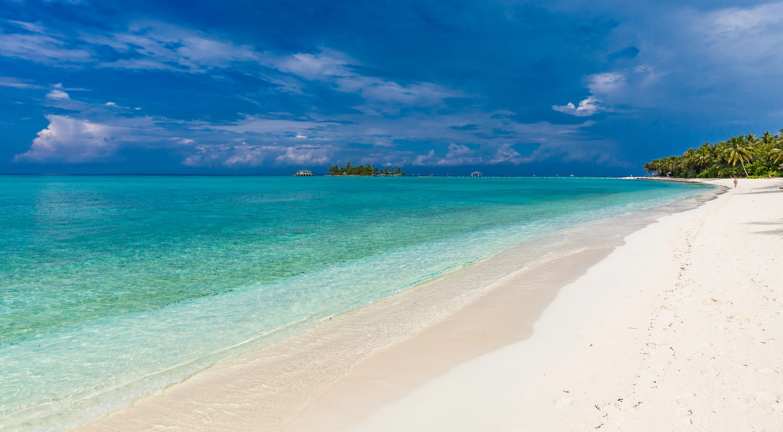 White Sand.jpg
