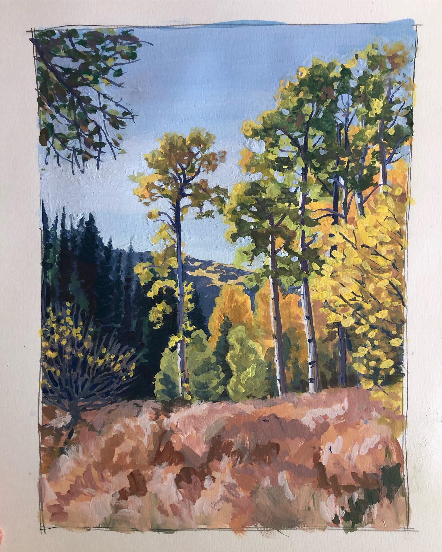 This week&rsquo;s little gouache on paper is from another hike in CO. We did this trail after a glorious soak in Strawberry Park Hot Springs 🙌😌. I do recall yelling at a certain 4 yr old kind of a lot on this hike 😤😬, but we had fun too. And we c