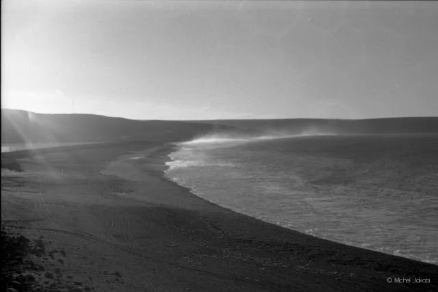 Into_the_wild_B&W-15.jpg