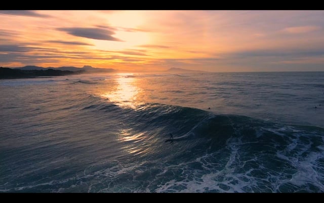 PARLEMENTIA_NATION OF SURF