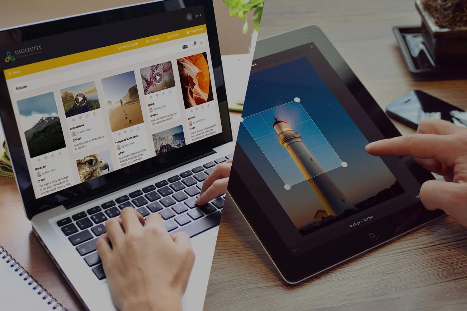 Best Digital Asset Management Software I Digizuite