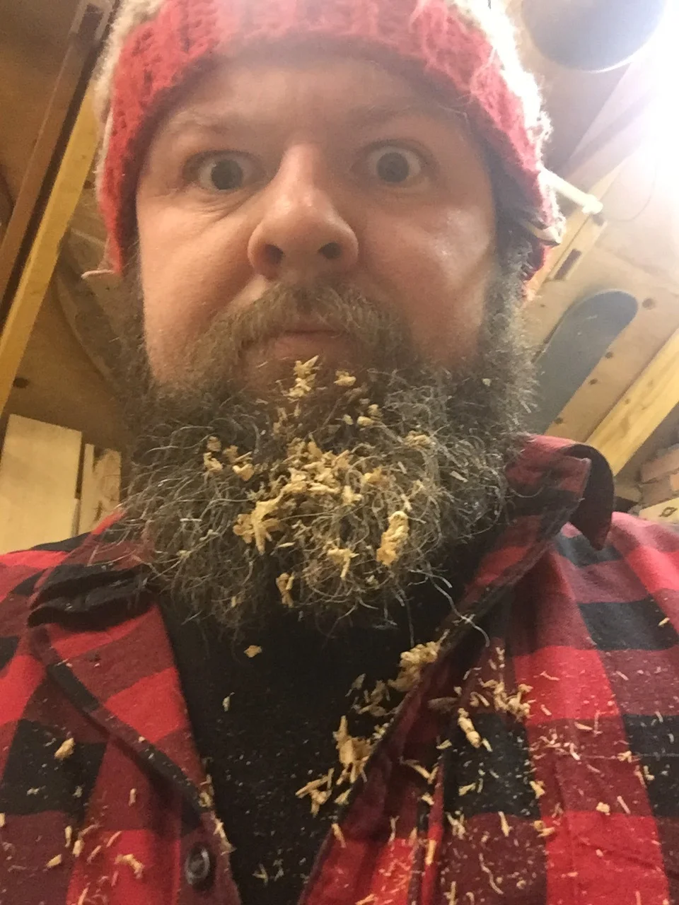 Pictures From The Past Week Or Two