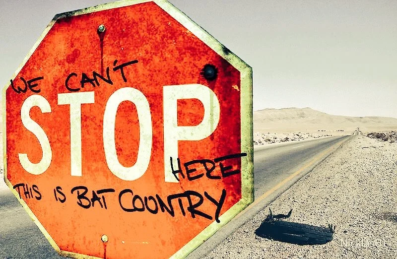 Pictures of the week.....again