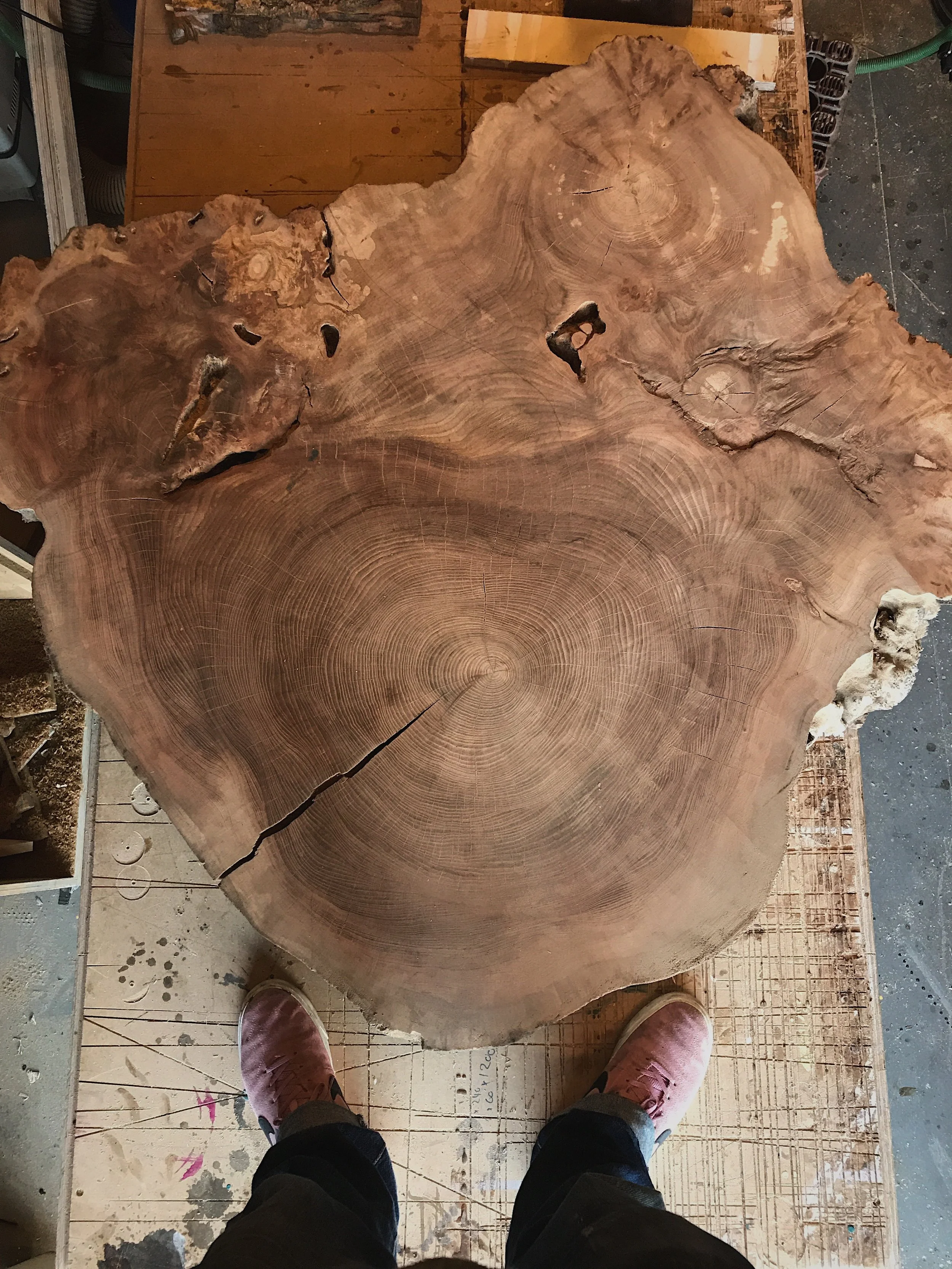 Elm Slab Coffee Table