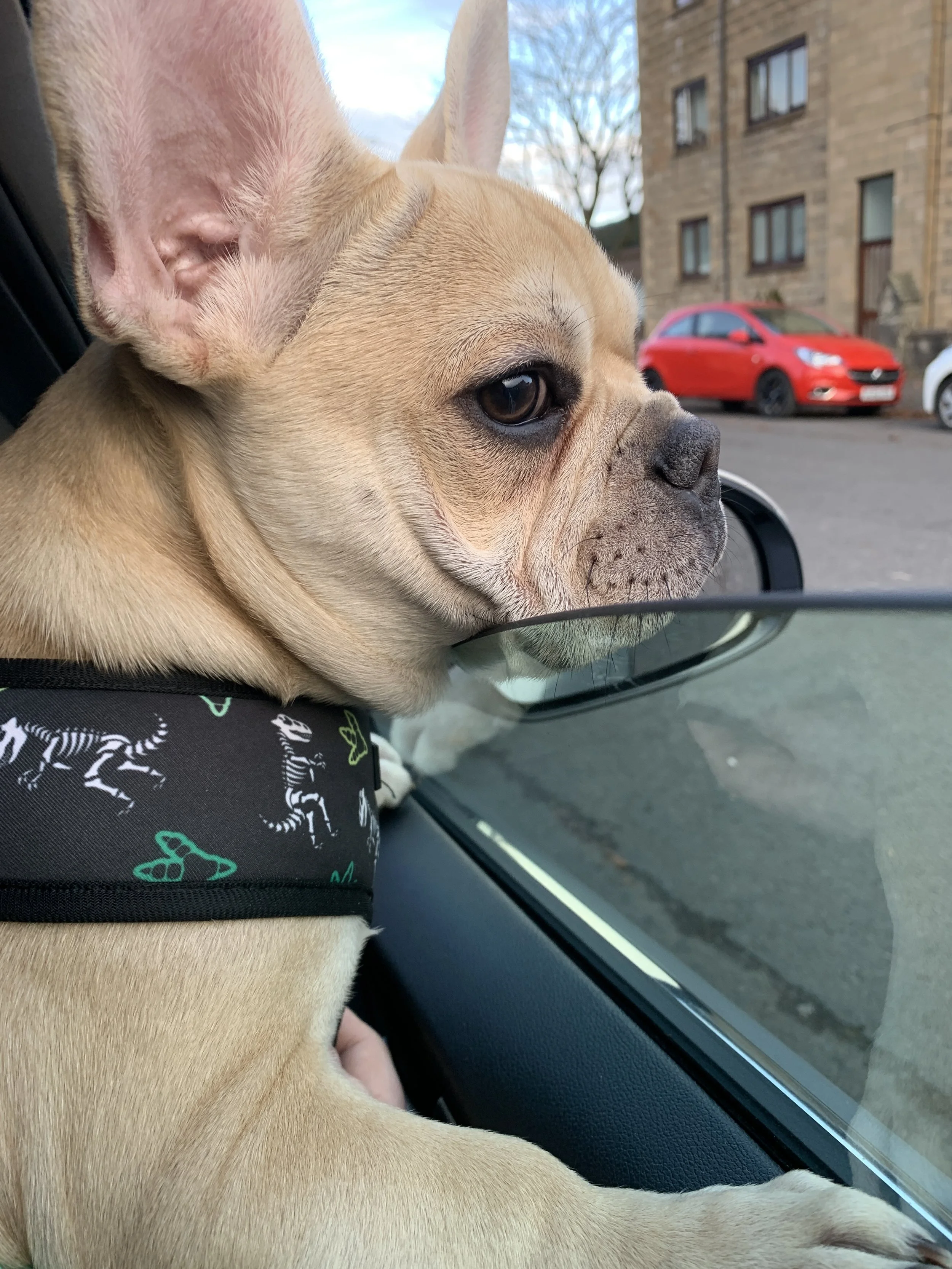 A walnut raised panel door and a Shop Front for a Coffee Shop