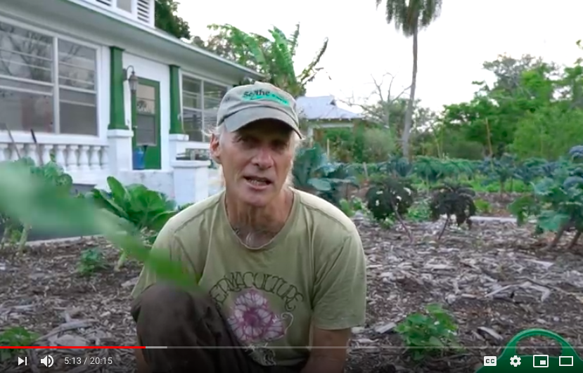 I'm a gardener now