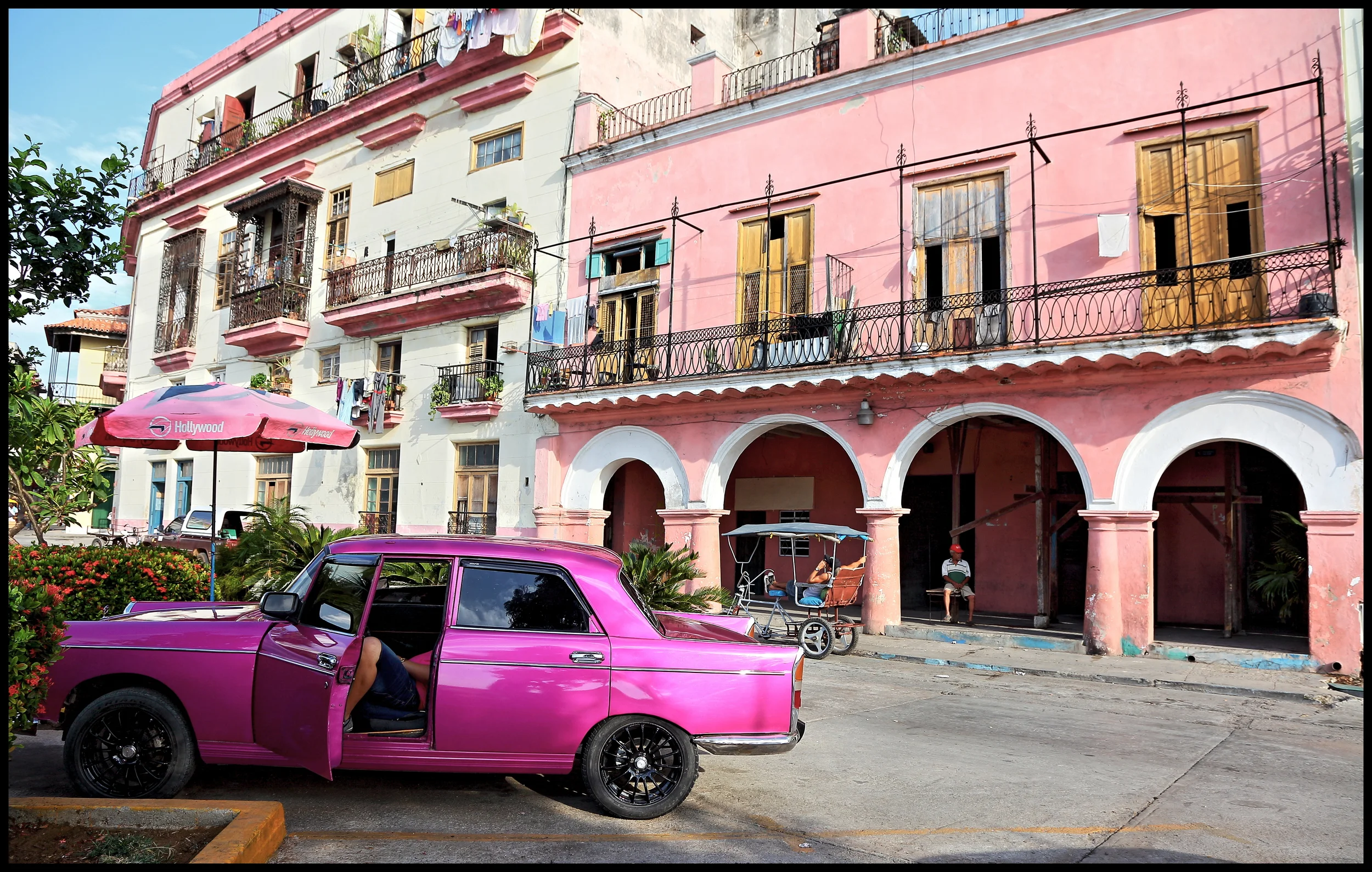 Pink , Havana 2016.